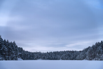 Blue calm winter landscape of a frozen lake in Repovesi National Park, Finland.