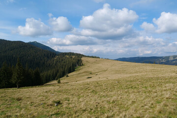 Fototapeta na wymiar Gorgany - mountain range in Western Ukraine