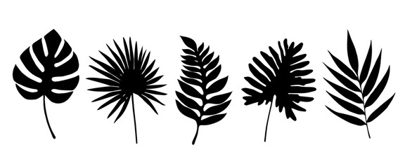 Set of leaves silhouette of beautiful plants, leaves, plant design. Vector illustration 18.