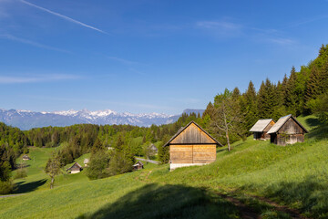 Fototapeta na wymiar Typical wooden log cabins in Gorjuse, Triglavski national park, Slovenia