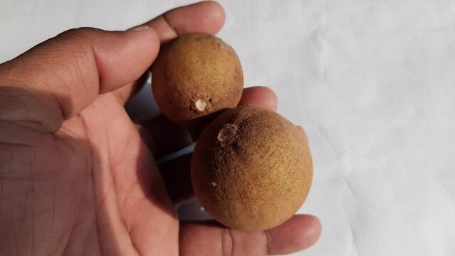 Manilkara zapota fruits. Its other names apodilla fruits, sapote,&nbsp;chicozapote,&nbsp;chico fruits,&nbsp;chicle fruit,&nbsp;naseberry, and nispero. Popular and tasty fruits. 