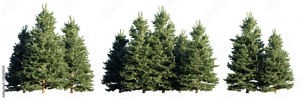 Fototapete set of conifer tree groups isolated on transparent background