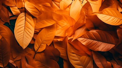 tropical yellow and orange leaves background