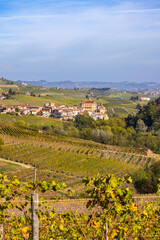 Fototapeta na wymiar autumnal vineyards near Barolo, Piedmont, Italy