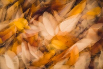Fototapeta na wymiar Motion blur of dry fallen colorful autumn leaves- fall wallpaper