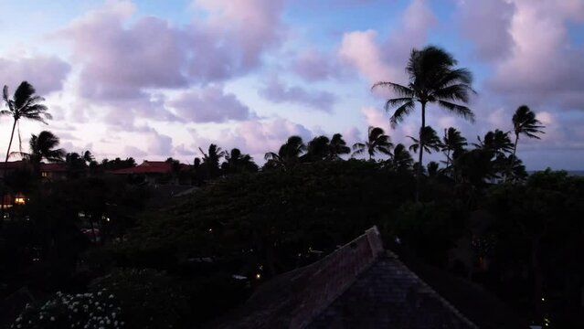 Drone flying over tropical resort with palm trees and beach under pink clouds during sunset