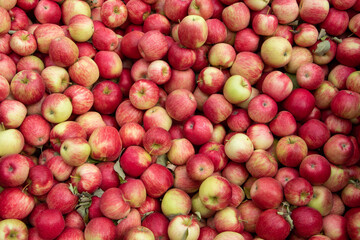 red apples in a market