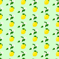 Branch of lemon with  flowers and lemon pattern. For posters, logos, labels, banners, stickers, product packaging design, etc. Vector illustration