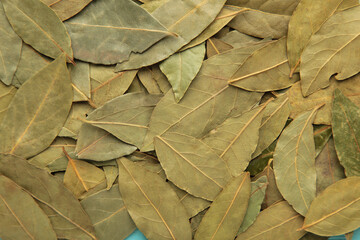 Aromatic dry bay leaves background. Macro