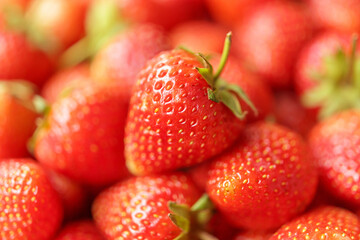 Fresh organic red strawberry fruit background