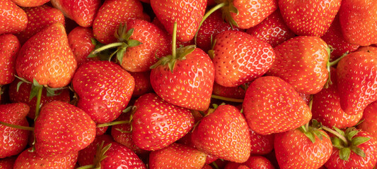 Fresh organic red strawberry fruit background