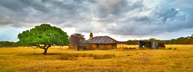 Old farmhouse and shed with lone tree and dramatic sky