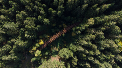 Topview of an old railway bridge in the middle of a colourful forest. Rusty bridge from above.