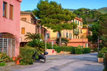 Poster Scenic view of Monterosso al Mare, cozy seaside town in Cinque Terre National Park, beautiful cityscape with colorful houses, green trees and hills, Liguria region of Italy. Outdoor travel background © larauhryn