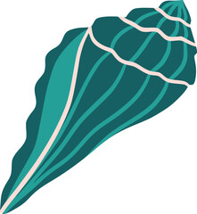 Seashell illustration