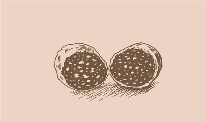 Vector vintage salami sausage on sepia background, butchery product. Meat element for design