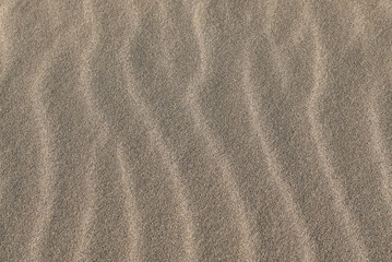 Fototapeta na wymiar Fondo con detalle y textura de ondas de arena con tonos marron suave