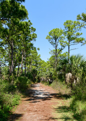 Fototapeta na wymiar Honeymoon Island State Park, Florida