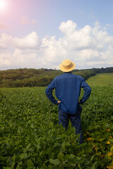 Fototapeta premium A farmer, agronomist stands with his back turned in an agricultural soybean field. Front view