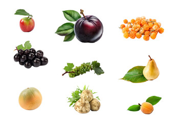 Set of fruits and berries isolate on white background, assorted collection. Jerusalem artichoke. AI generated.