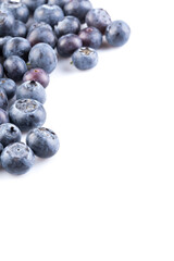 Blueberries on white background