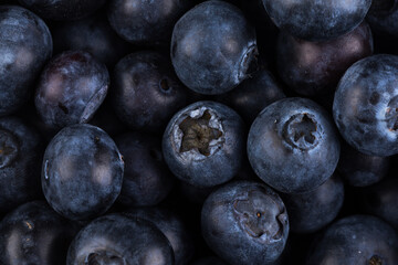 Blueberries on white background