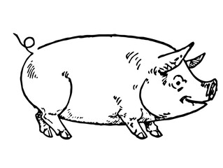Pig Stamp