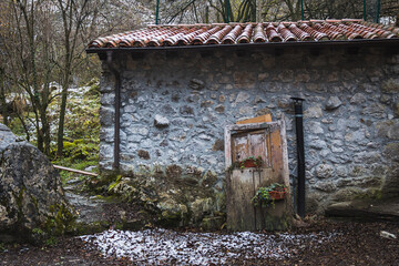 An isolated, derelict building with a broken door, surrounded by vibrant green trees in the...