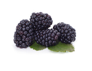 Wild blackberries with leaves.
