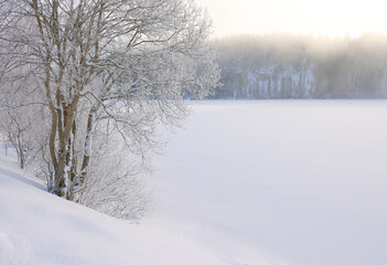 Winter landscape the frozen shores of Jonsvatnet lake near Trondheim, Norway., Europe	