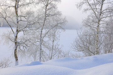 Winter landscape the frozen shores of Jonsvatnet lake near Trondheim, Norway., Europe	