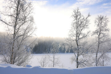 Winter landscape the frozen shores of Jonsvatnet lake near Trondheim, Norway., Europe	