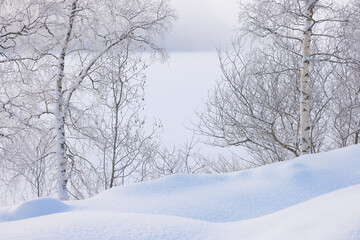 Winter landscape the frozen shores of Jonsvatnet lake near Trondheim, Norway., Europe	