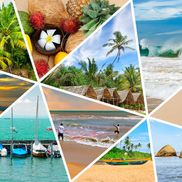 collage of tropical landscapes located in mosaic. Concept - vacation and travel.