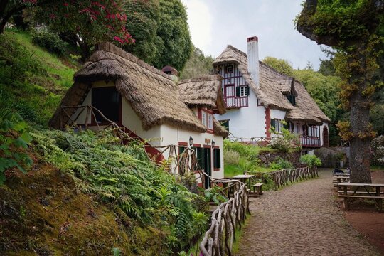 Queimadas Forest Park in Santana, Madeira Island, Portugal, Europe. View of red and white houses with tratched roof and wooden fence in the foreground. 