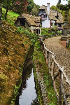 Queimadas Forest Park in Santana, Madeira Island, Portugal, Europe. View of red and white houses with tratched roof and wooden fence in the foreground. 