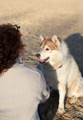 A woman with curly hair and a dog with a collar that says husky on it. Dog watching at his owner.