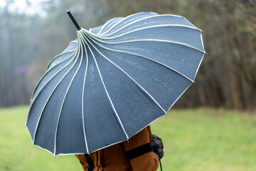 Black Pagoda peak vintage umbrella with white seams - old-fashionable parasol with water droplets in a grassy wooded area