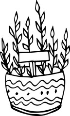Pot plant illustration. Flowers in pot drawn black line on a white background, hand-drawn design elements.