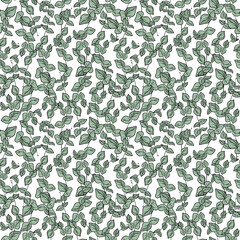 Hand drawn seamless pattern of eucalyptus branches and green leaves. Herbal tropical collection on a white background. Decorative summer illustration for greeting card, wallpaper, wrapping paper