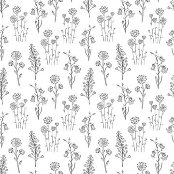 Hand drawn seamless pattern of blooming wildflowers, canterbury bells, chamomile. Floral collection on a white background. Decorative outline illustration for greeting card, wallpaper, wrapping paper