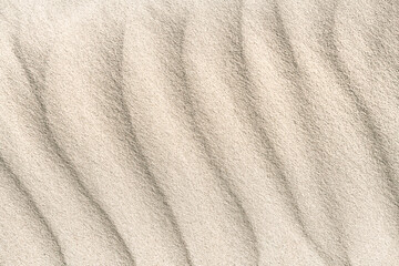 Sand structure on mudflat beach - 2629