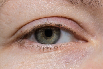 female eye with unpainted eyelashes. close-up.