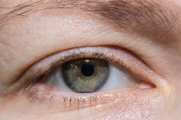 Fototapeta premium female eye with unpainted eyelashes. close-up.