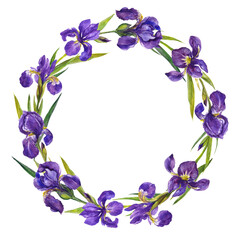 Watercolor irises wreath on the white background, floral illustartion