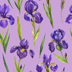 Fototapeta na wymiar Watercolor irises seamless pattern . Irises flowers, floral pattern, wildflower 