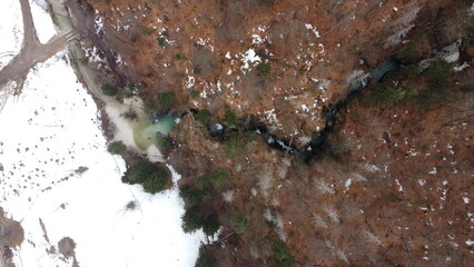 water drops on a tree