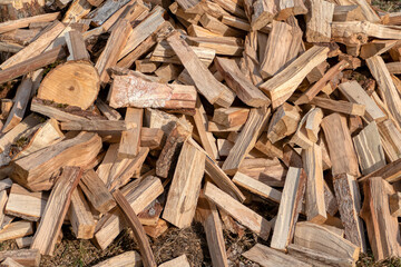 a pile of unsorted firewood. hardwood and softwood. logs in various size and shape.