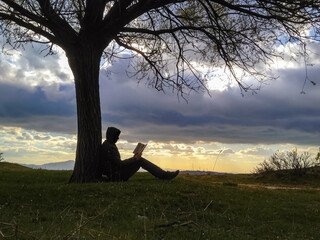 young man reading a book under a tree in nature