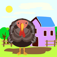 the turkey in the farm